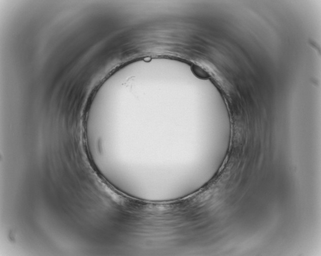 X0000095901286200802011120