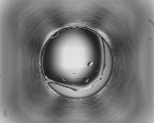 X0000095901288200802011120