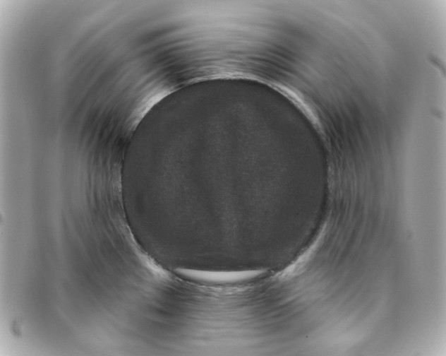 X0000095901289200802011120