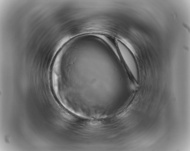 X0000095901291200802011120