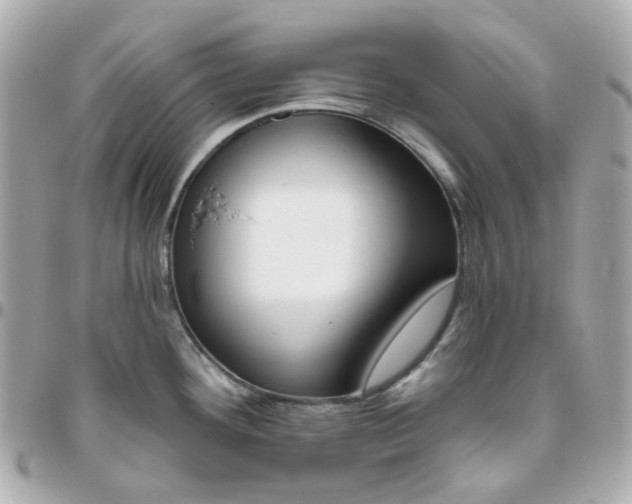 X0000095901292200802011120