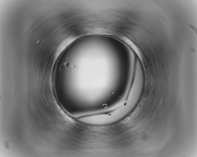 X0000095901293200802011120