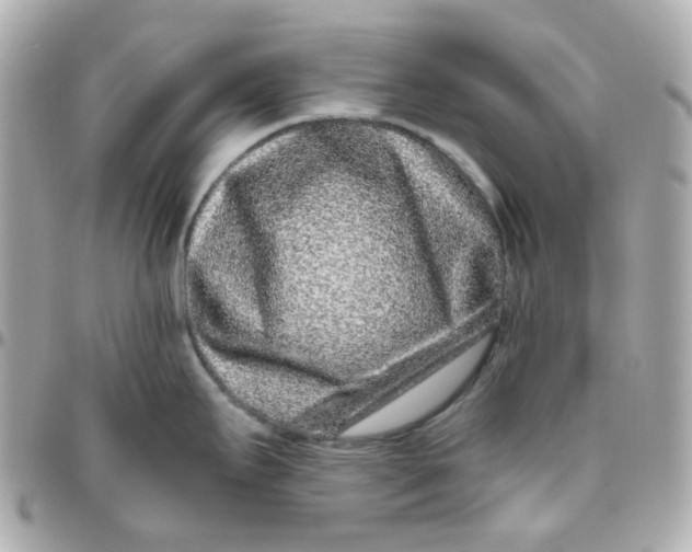 X0000095901295200802011120