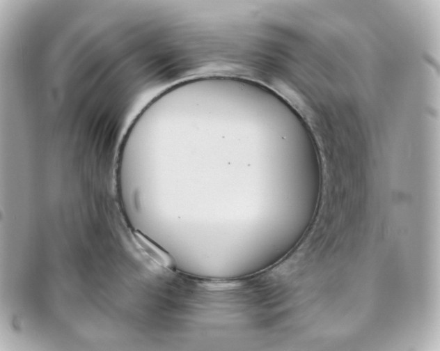 X0000095901296200802011120