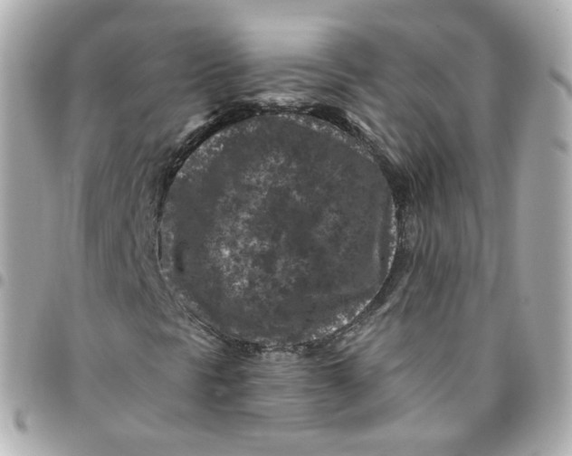 X0000095901297200802011119