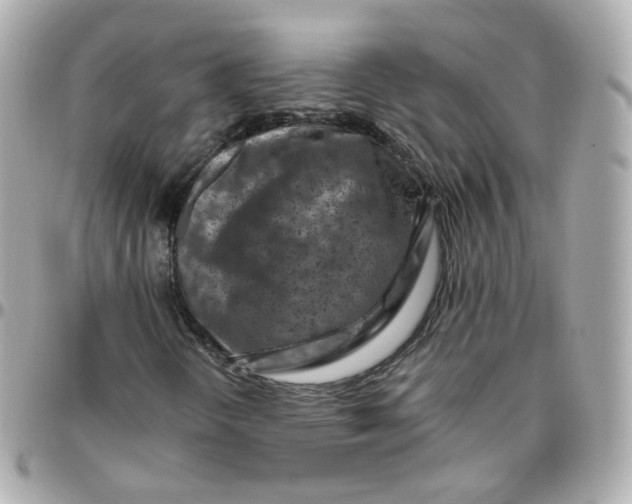 X0000095901298200802011119