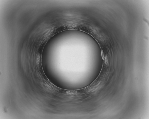 X0000095901299200802011119