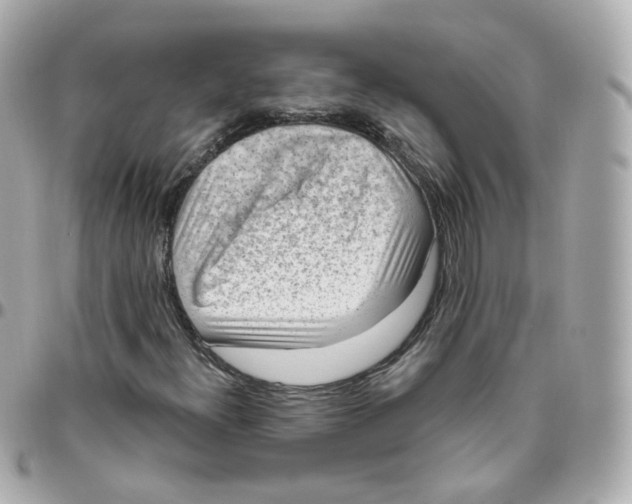 X0000095901300200802011119