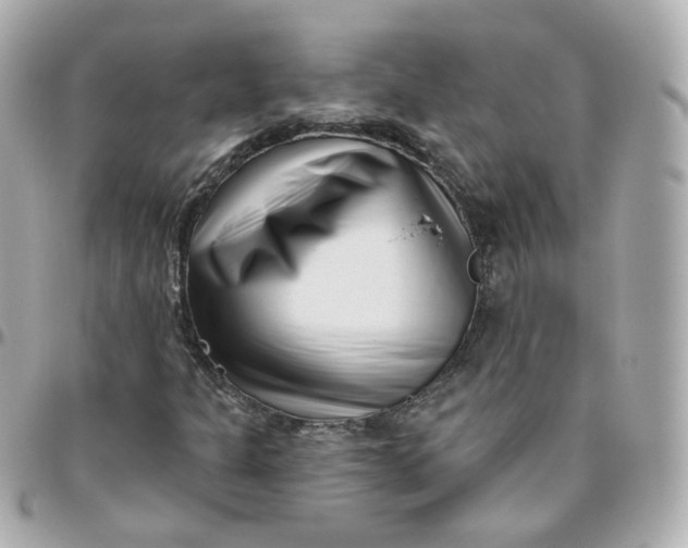 X0000095901301200802011119