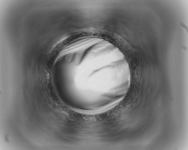 X0000095901302200802011119