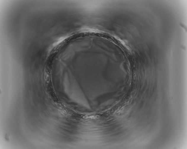 X0000095901303200802011119