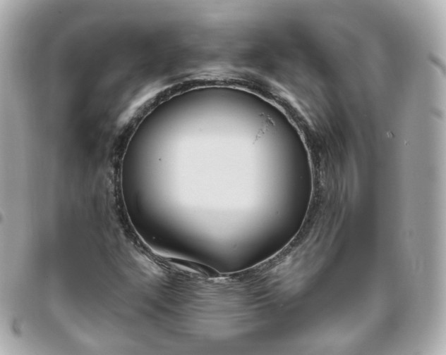 X0000095901304200802011119