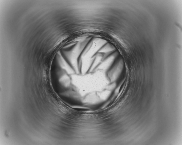 X0000095901305200802011119