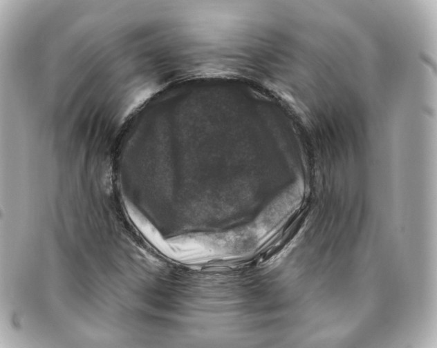 X0000095901306200802011119