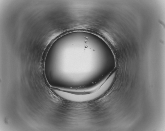 X0000095901308200802011119