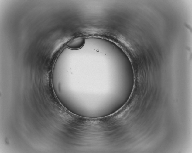 X0000095901309200802011119