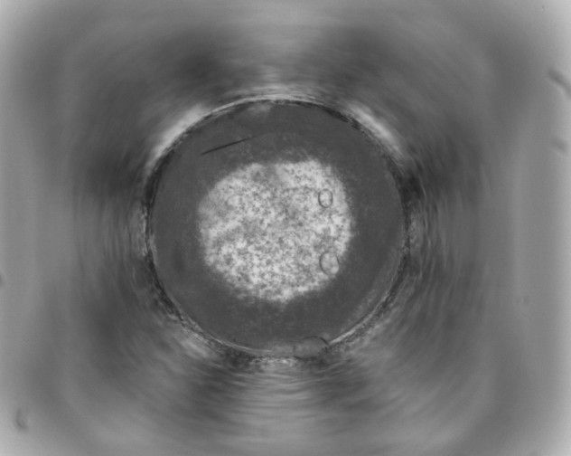 X0000095901310200802011119