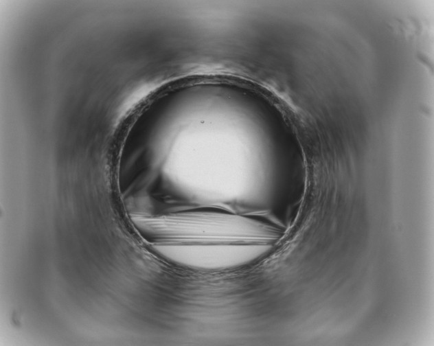 X0000095901311200802011119