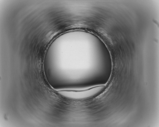 X0000095901313200802011119