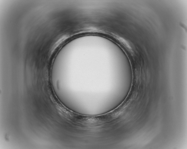 X0000095901318200802011119