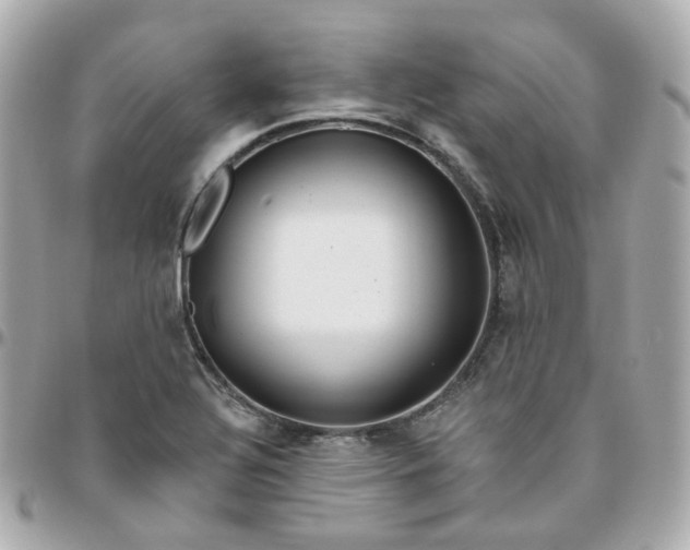 X0000095901320200802011119