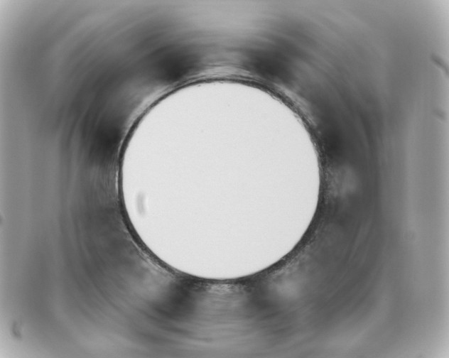 X0000095901322200802011119