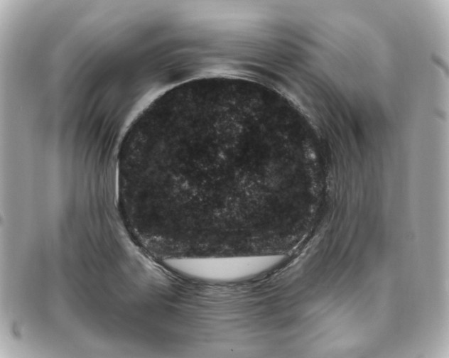 X0000095901323200802011119