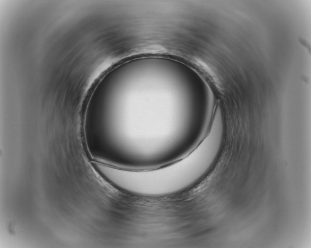 X0000095901326200802011120