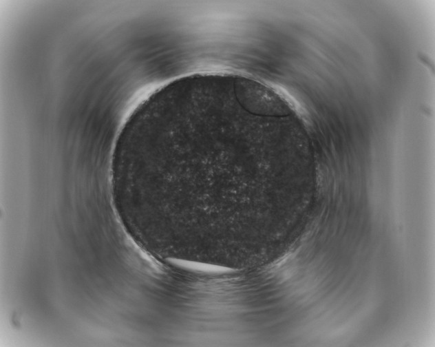 X0000095901327200802011120