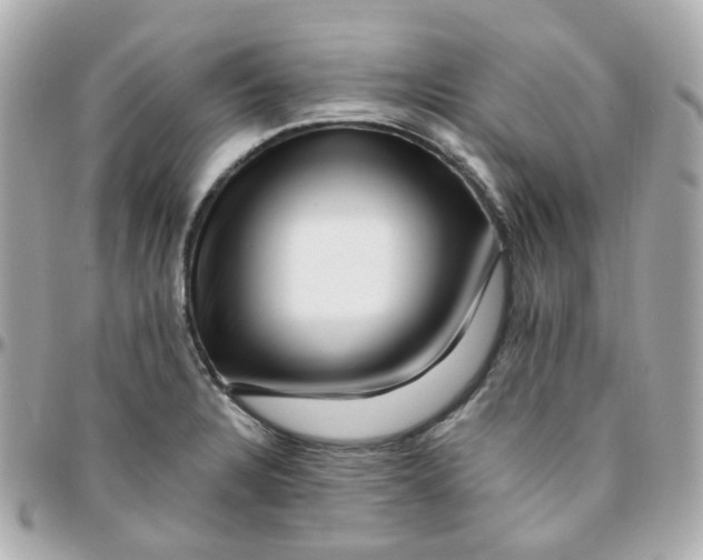 X0000095901328200802011120