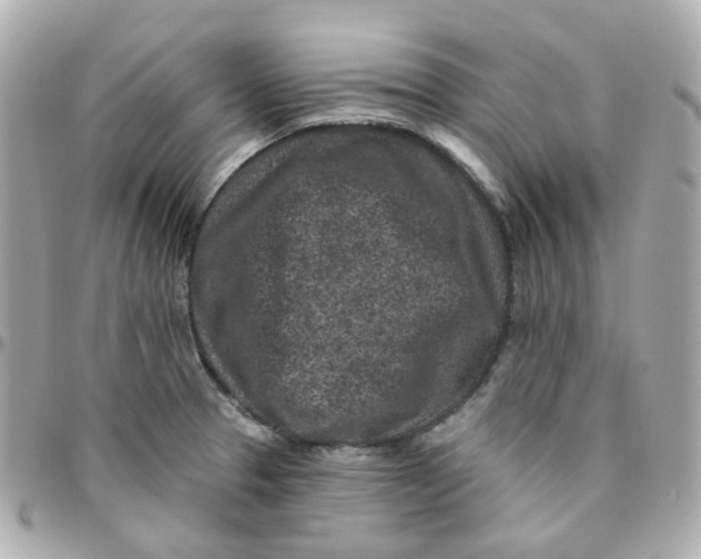 X0000095901329200802011120