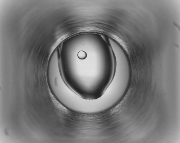 X0000095901330200802011120