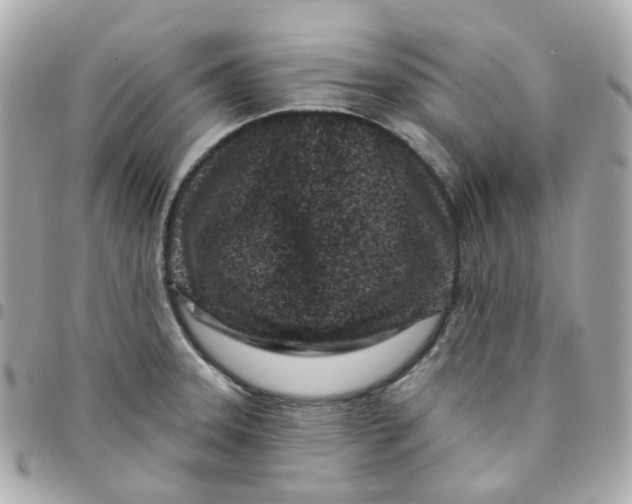 X0000095901331200802011120