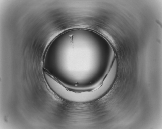 X0000095901332200802011120