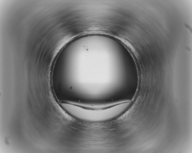 X0000095901333200802011120