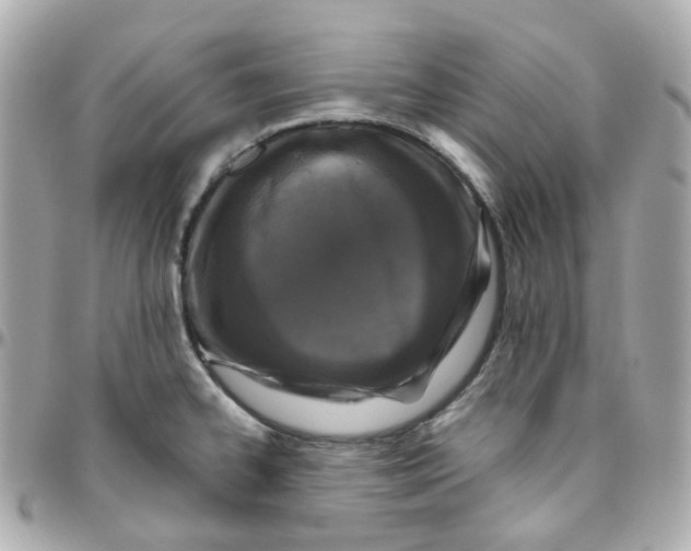 X0000095901334200802011120