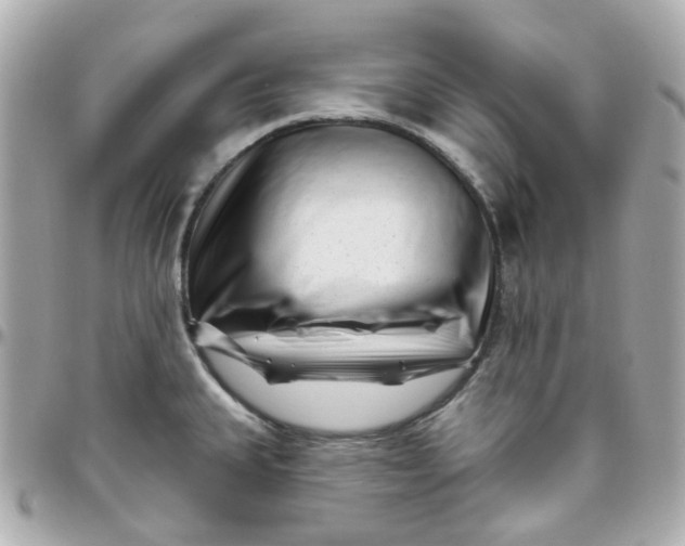 X0000095901335200802011120