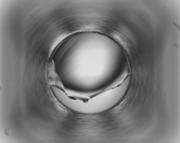 X0000095901336200802011120