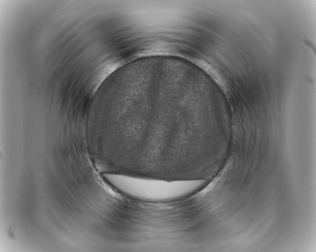 X0000095901337200802011120