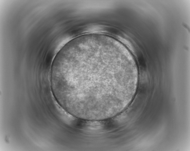 X0000095901338200802011120