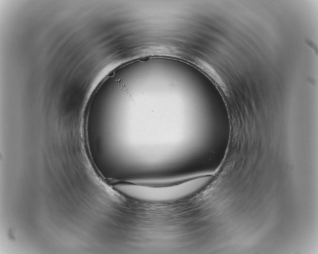 X0000095901339200802011120