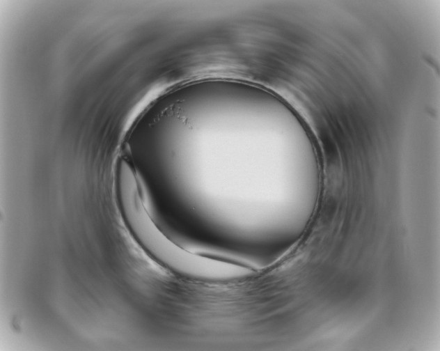 X0000095901341200802011120