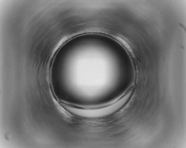 X0000095901342200802011120