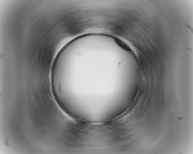 X0000095901343200802011120