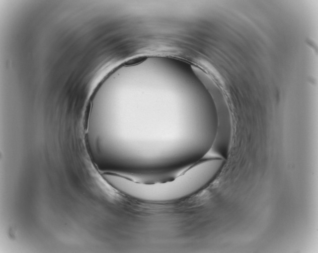 X0000095901344200802011120