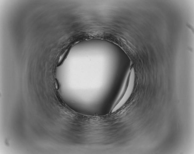 X0000095901345200802011119