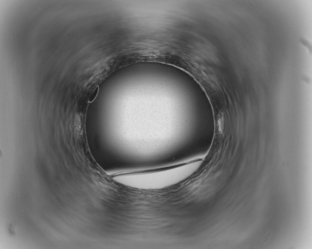 X0000095901347200802011119