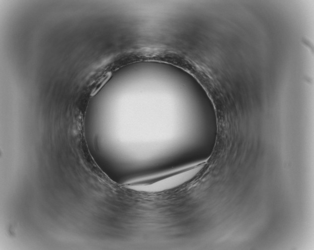 X0000095901349200802011119