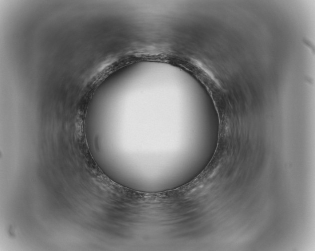 X0000095901350200802011119