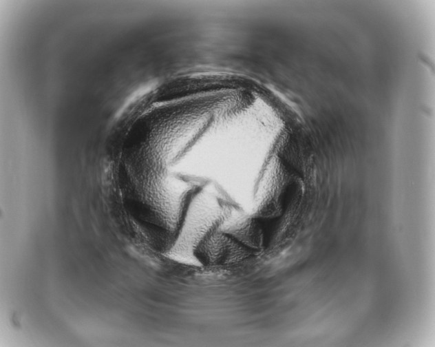 X0000095901351200802011119